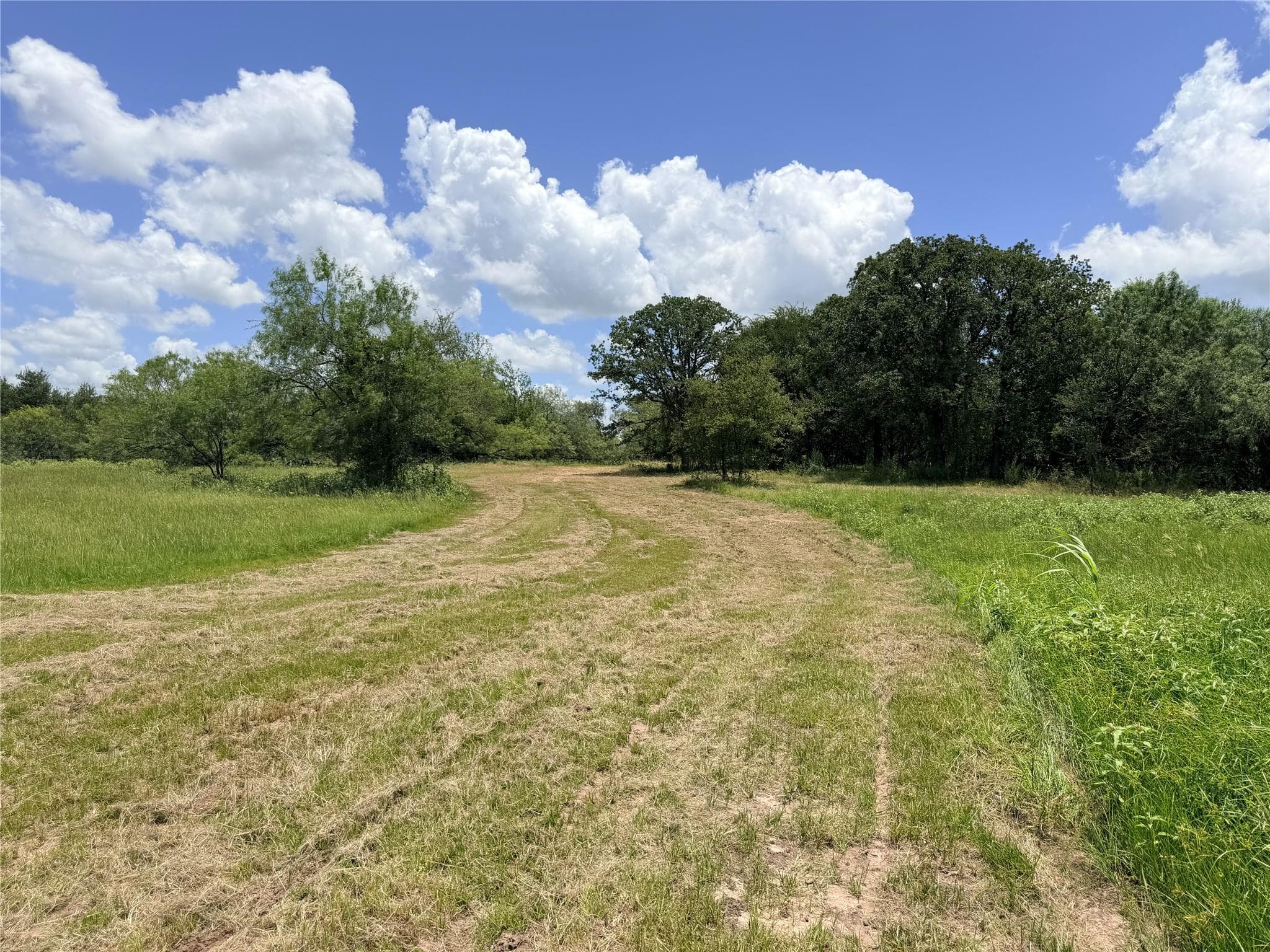 TBD FM 86 Tract 5 Hwy
