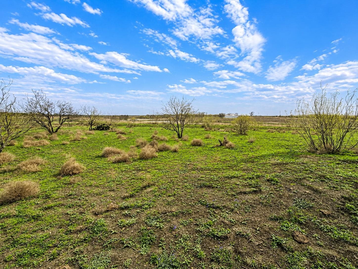 TBD County Road 108 None
