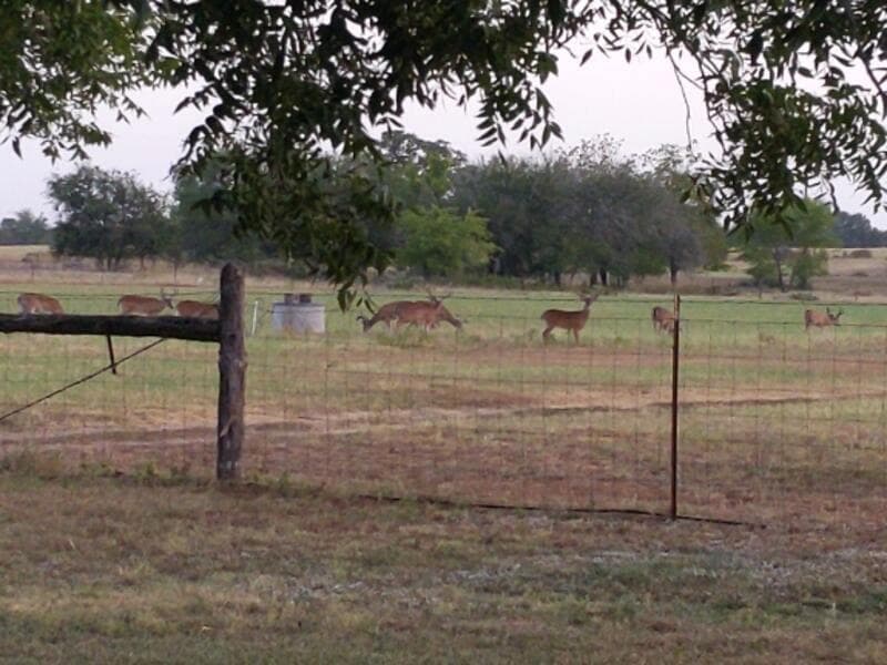 10905 S. FM 1915 FM 1915 Hwy