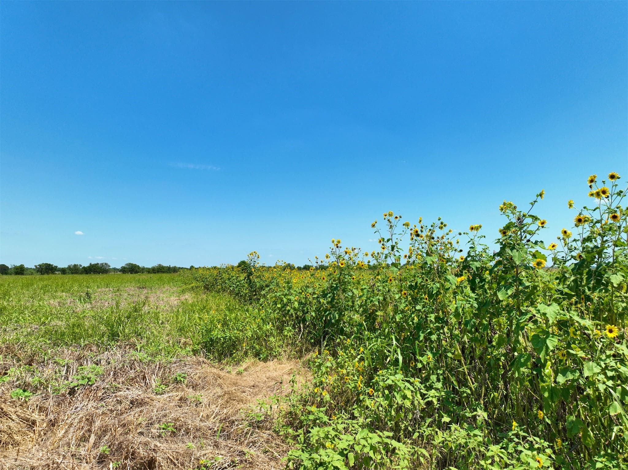 Lot 2 CR 142 Rd