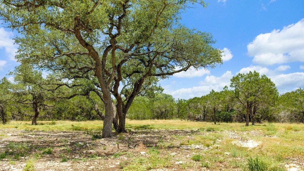 Tract 8 Cypress Cove Rd