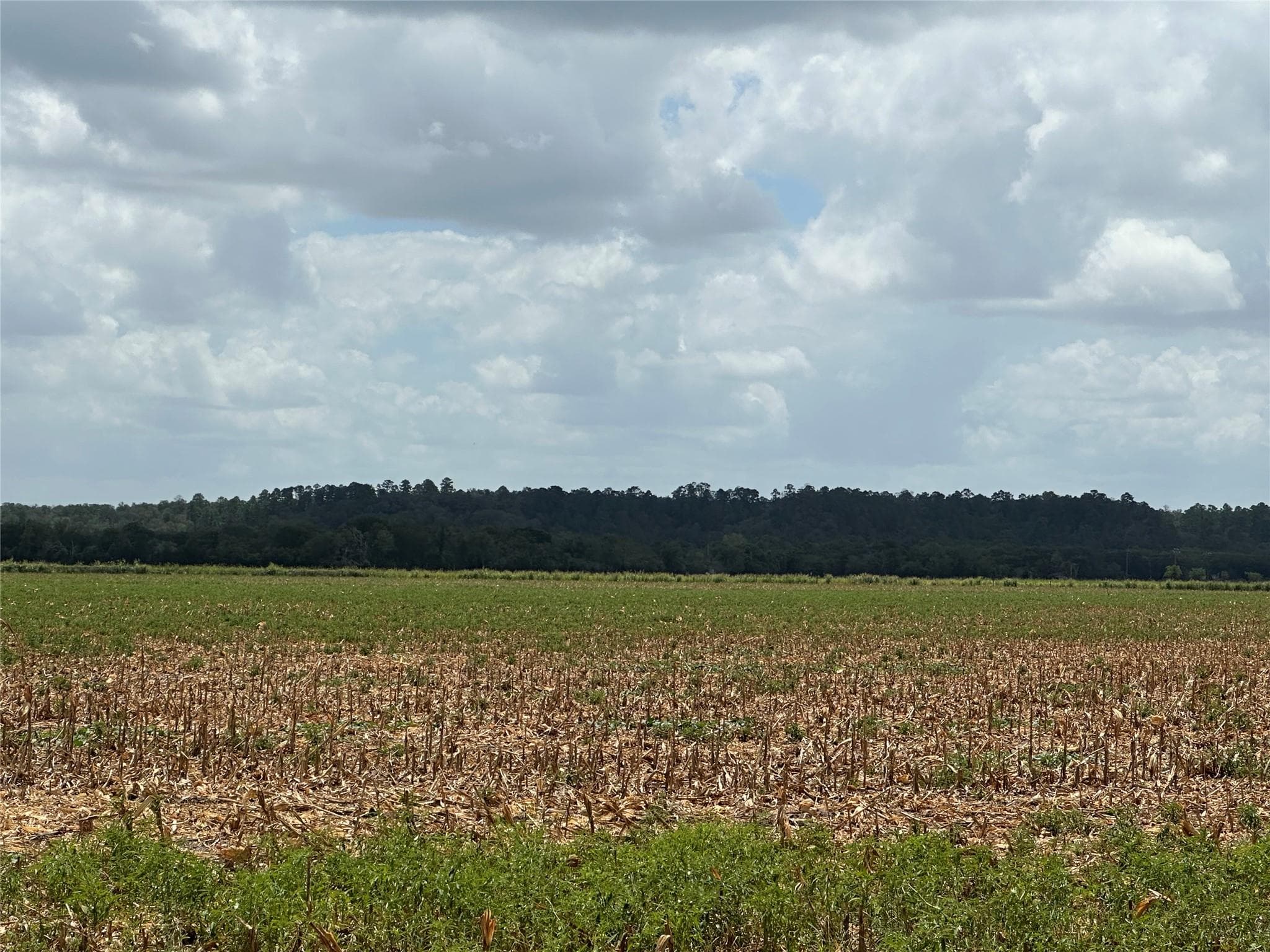 0000 Rabbs Prairie Rd