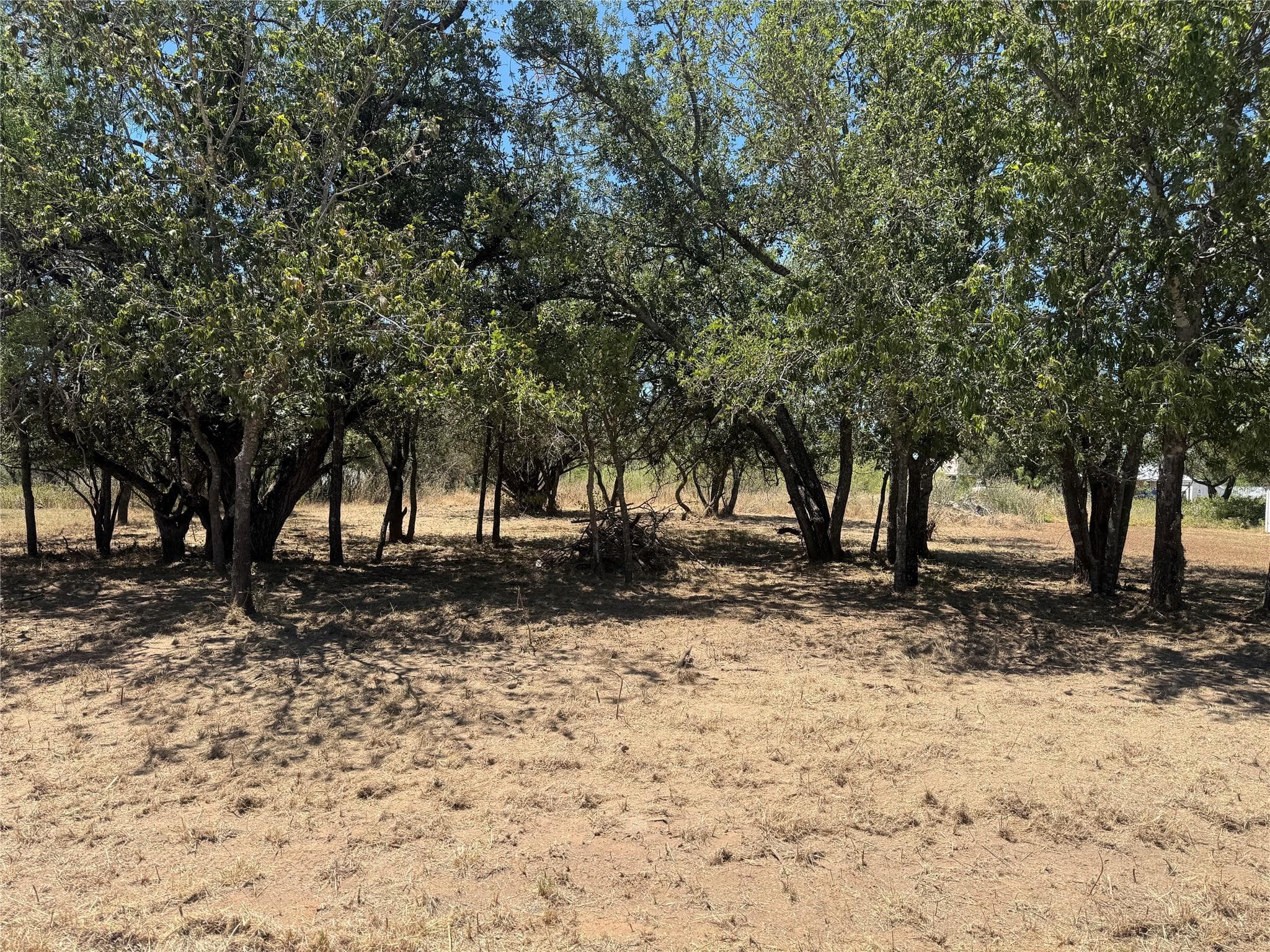 Lot #494 Driftwood Ln