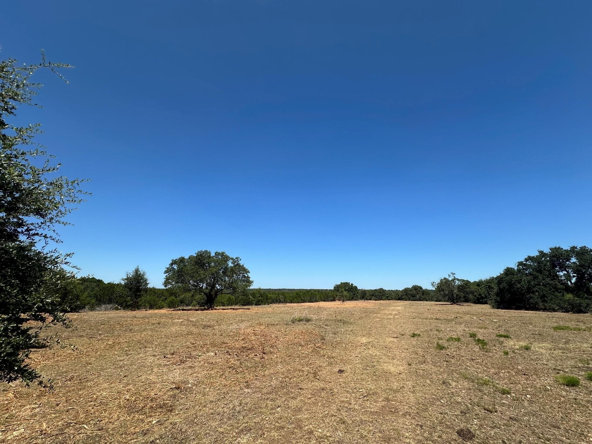 1900 County Road 284 None