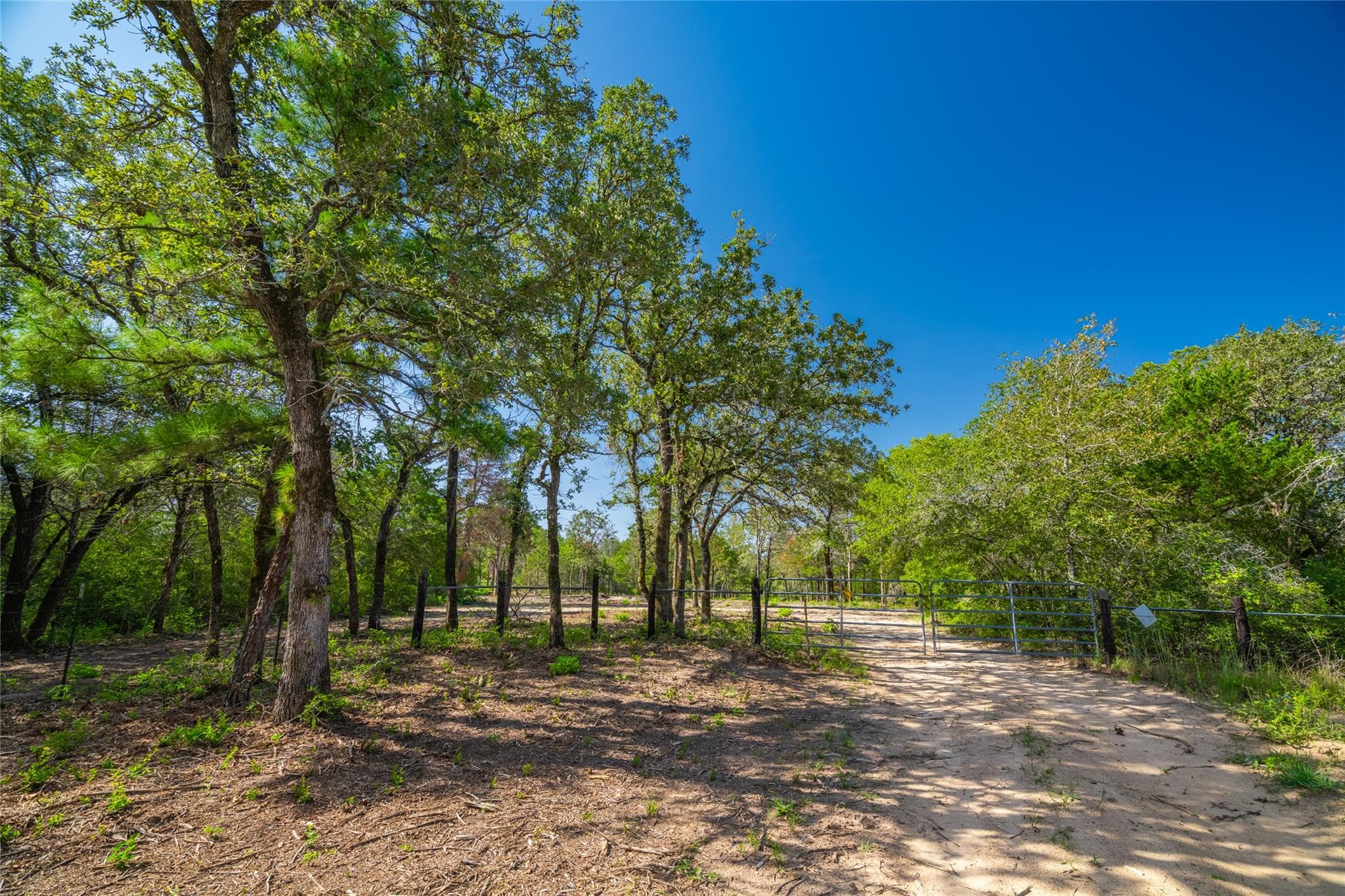1247 Sand Hills Road None