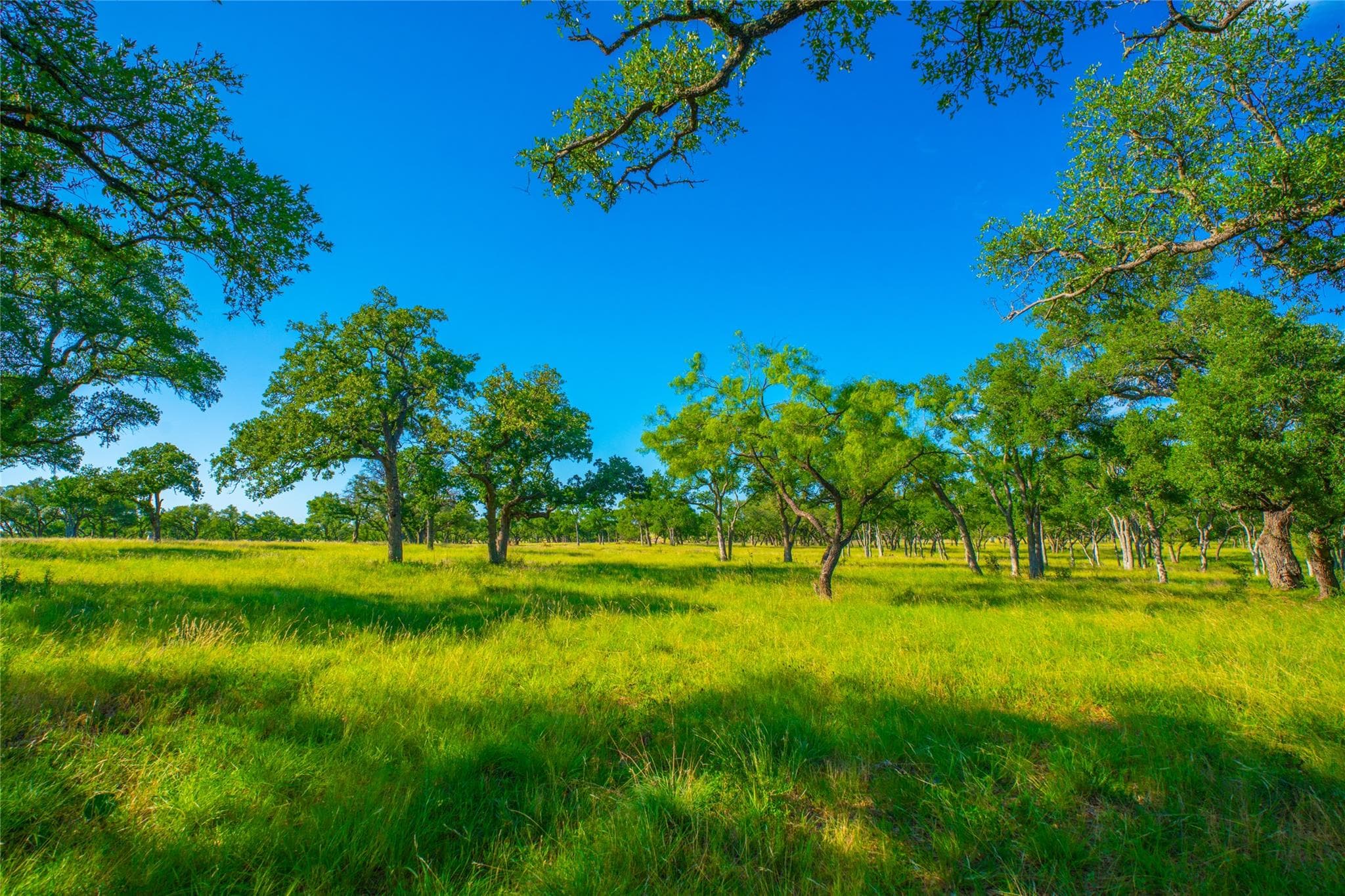 0 Rocky Creek Rnch