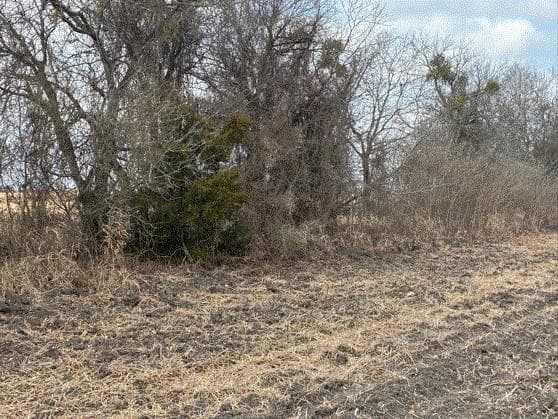 CR 3061 lot 2 Hwy