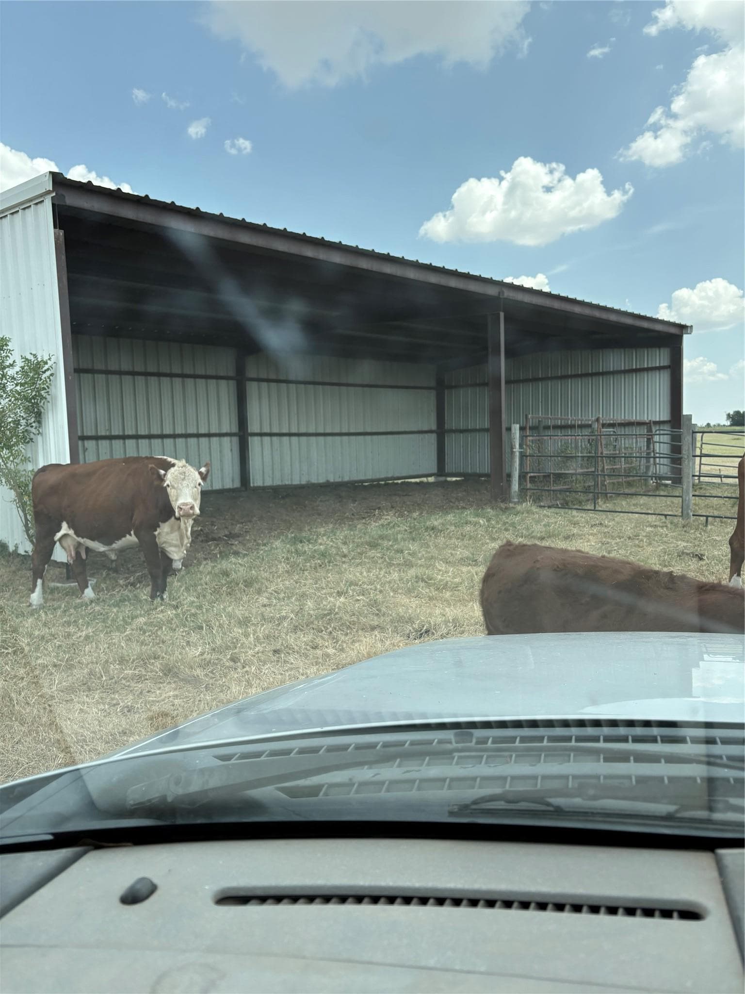600 County Road 444 Land
