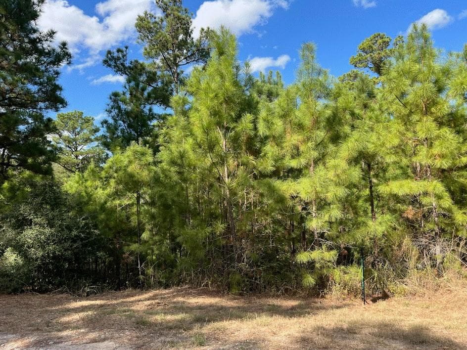 Lot 986 Kailua L Ln