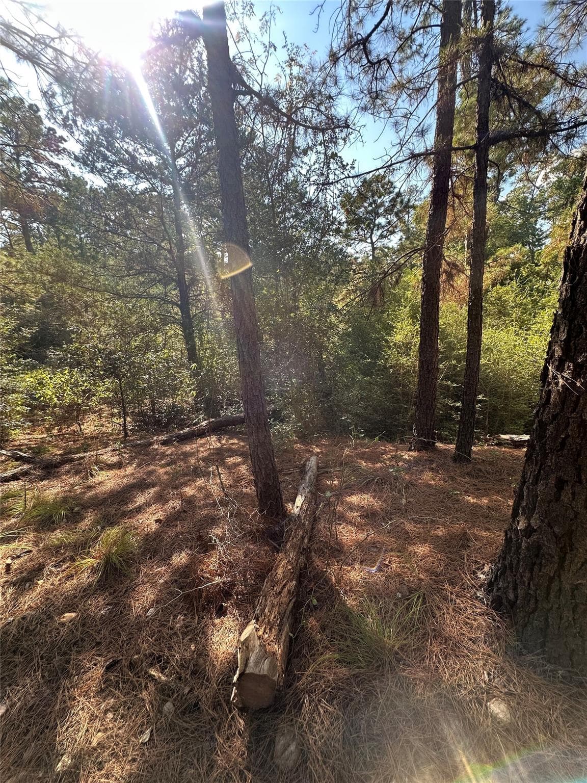 0 Pine Oak Dr