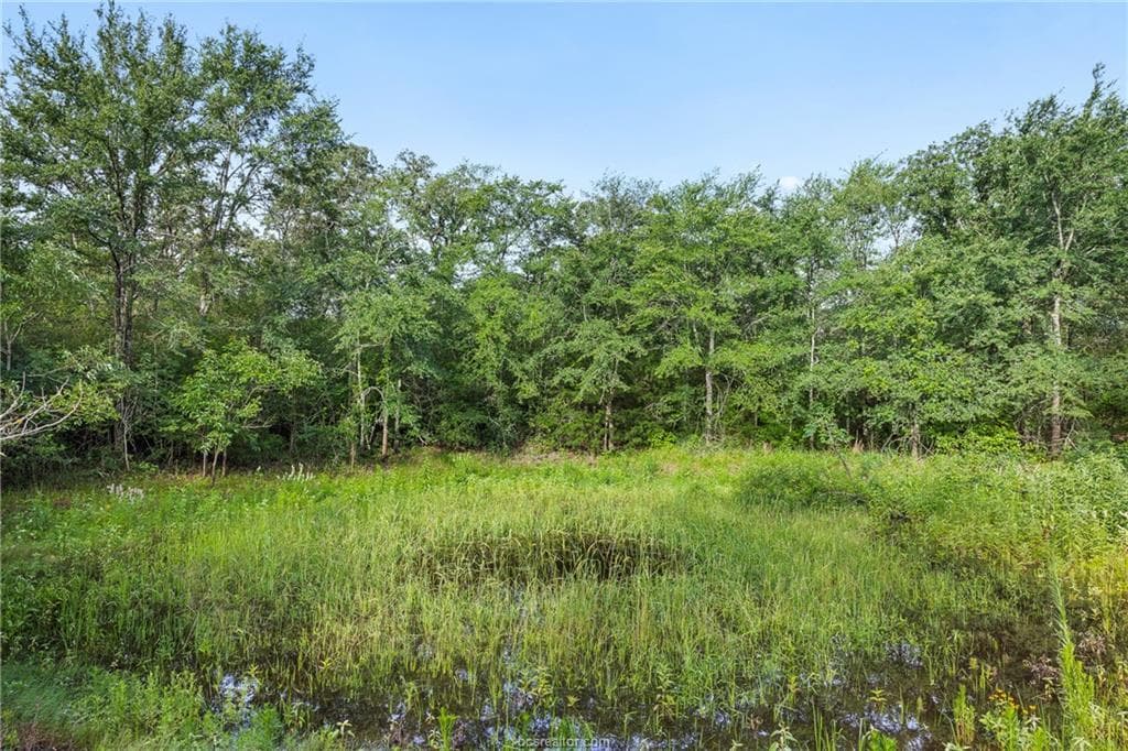 5163 County Road 358 Rd