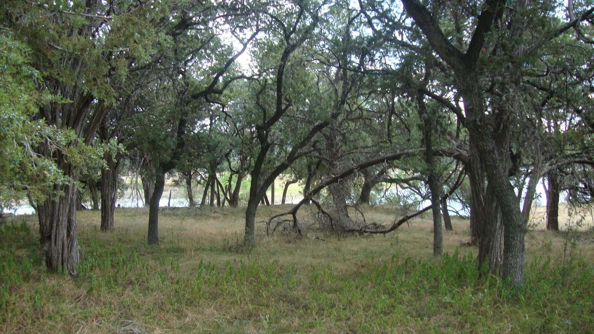 6703 Bar K Ranch Rd