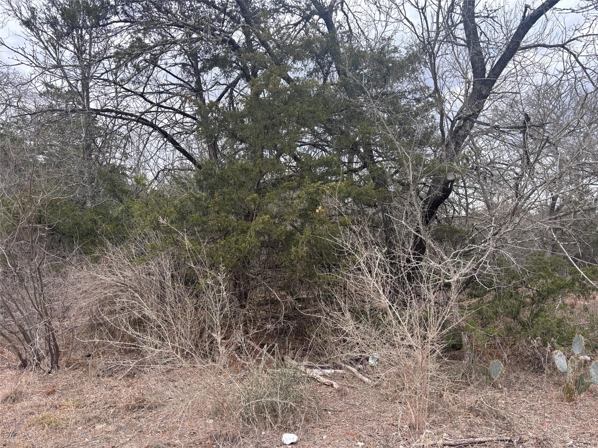 TBD Pearson Rd
