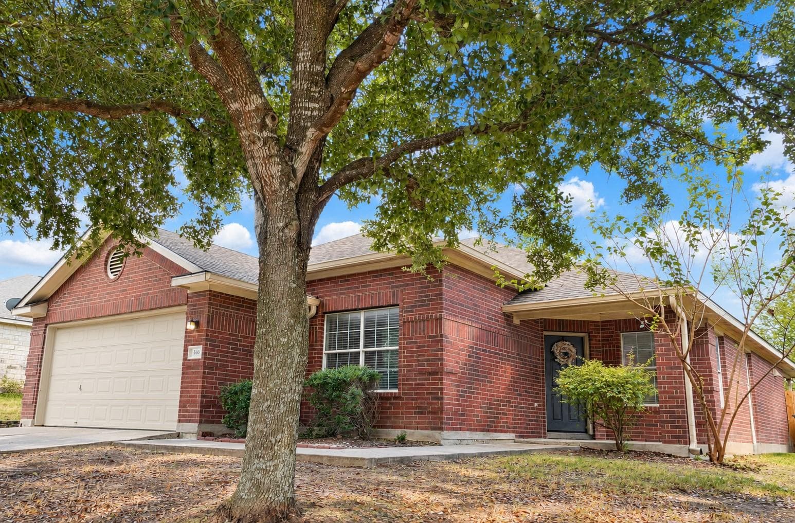 368 AMBER ASH Dr
