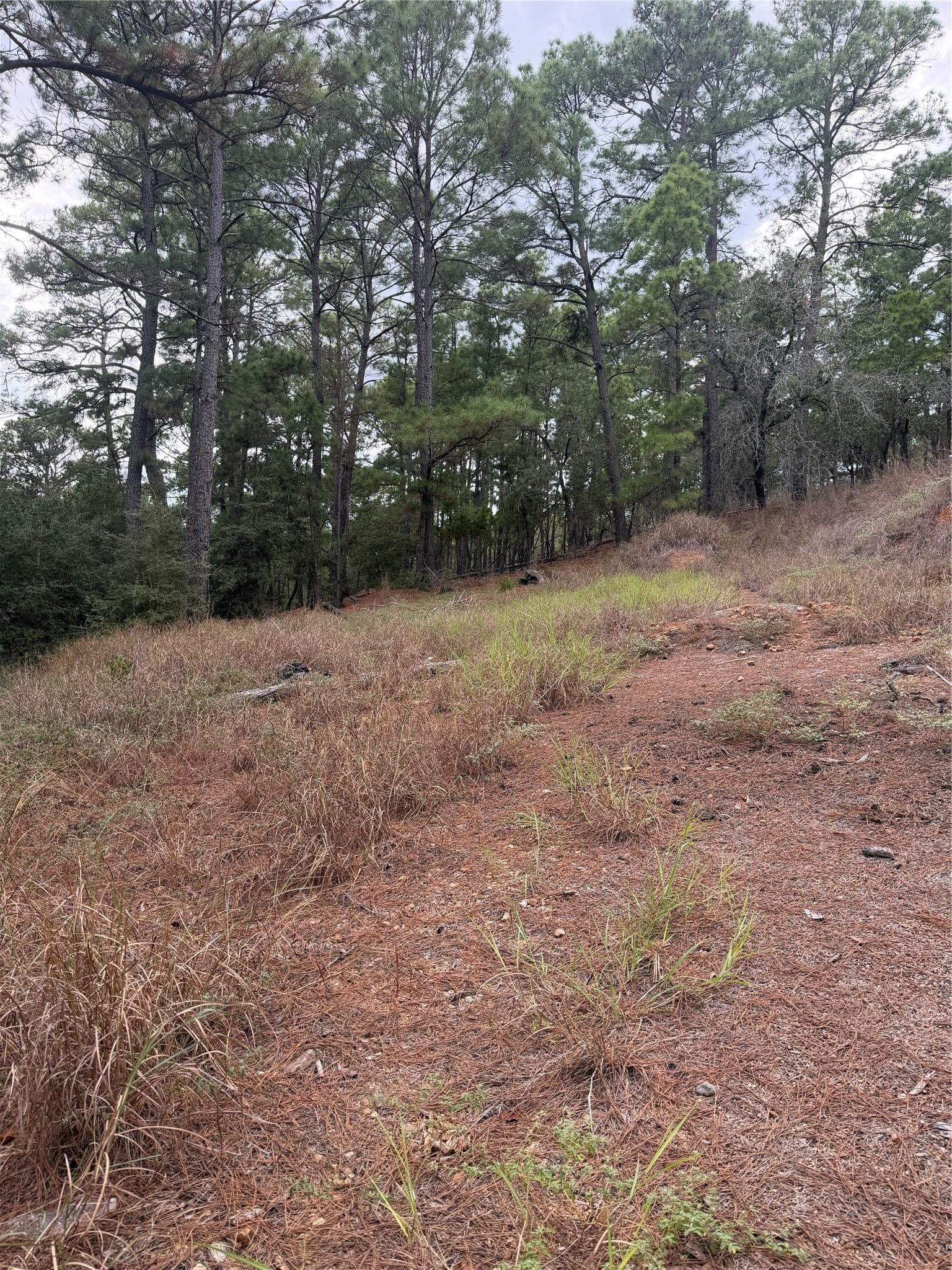 Lot 69 and 70 Taro Ct