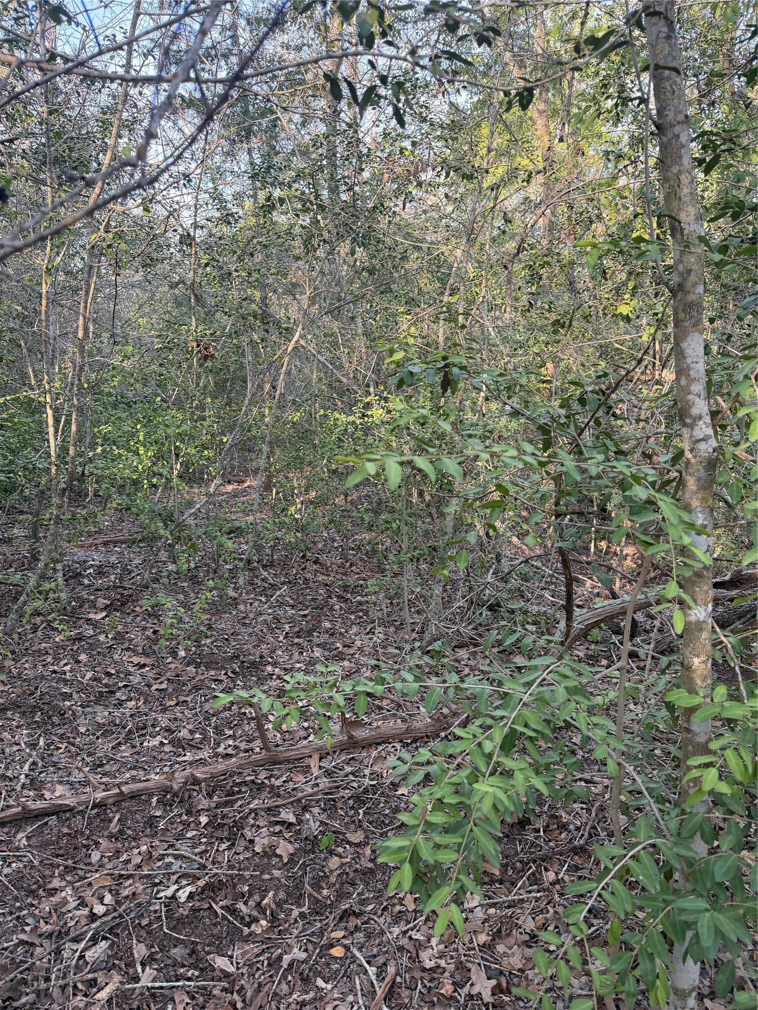 Lot 607 Waimanalo Dr