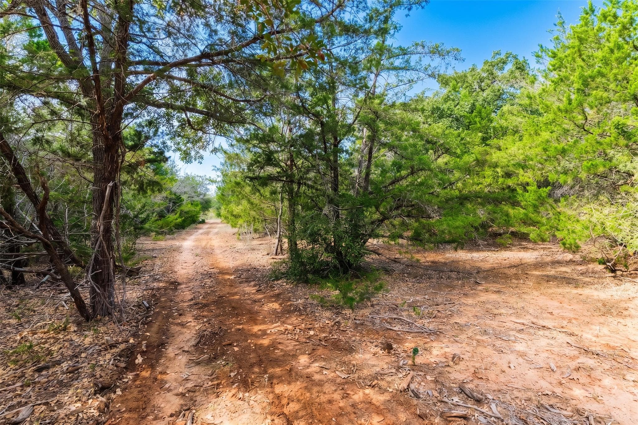 12 Acres Mt Pleasant Rd