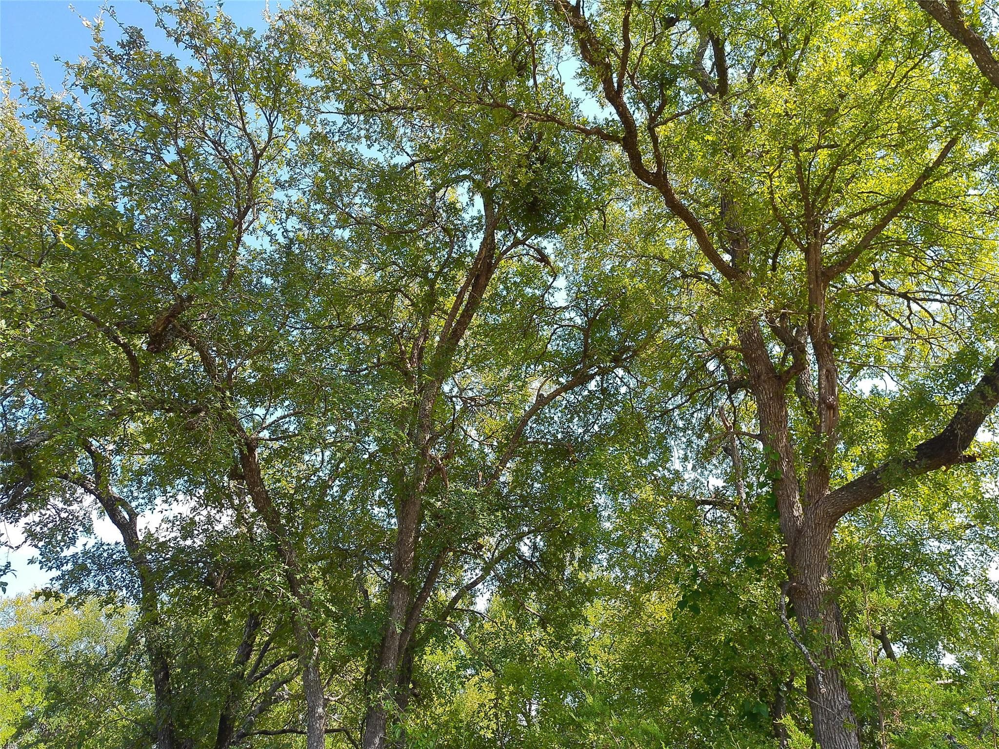 Lot 33 Serenity Dr