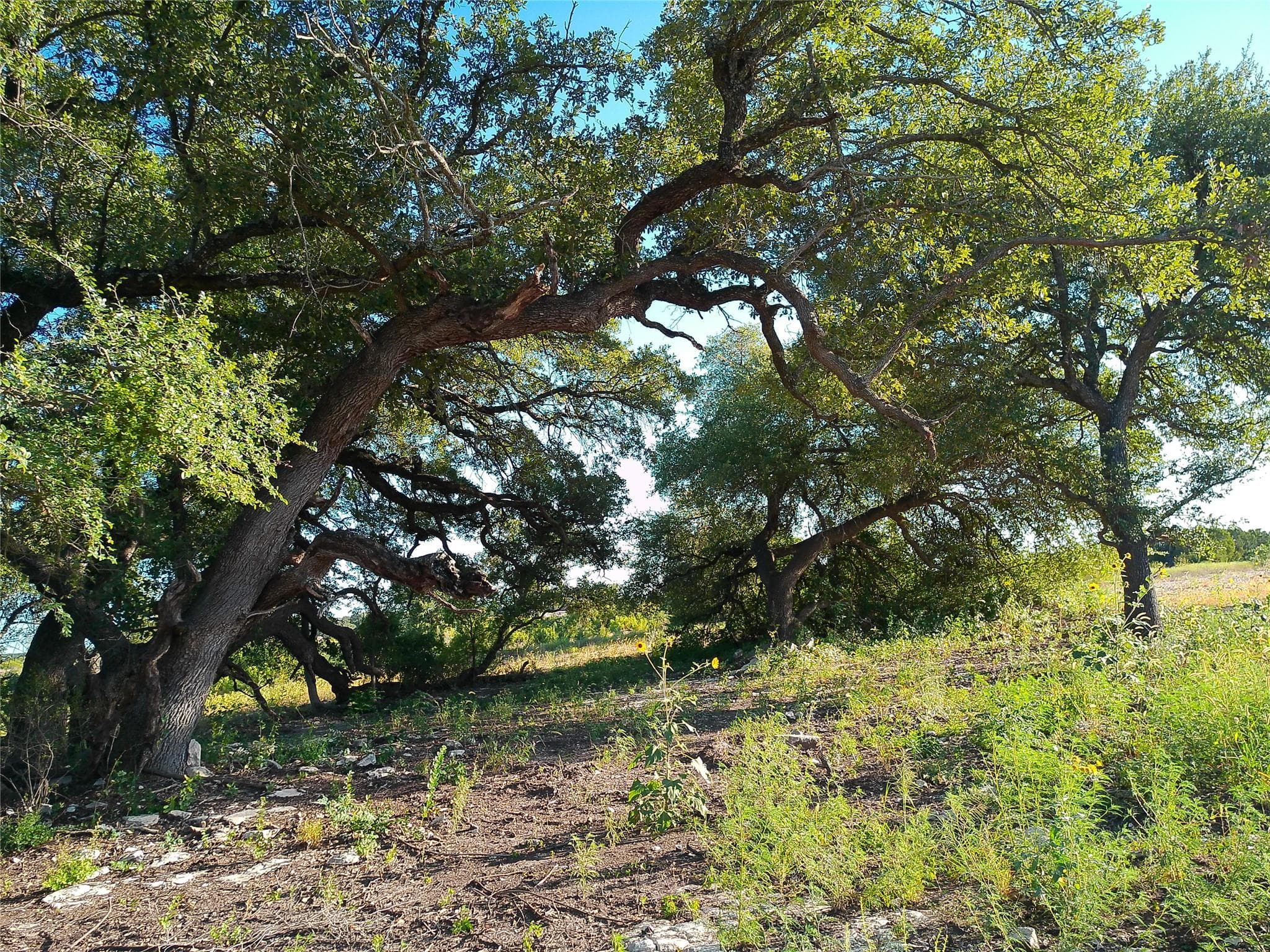 Lot 42 Serenity Dr
