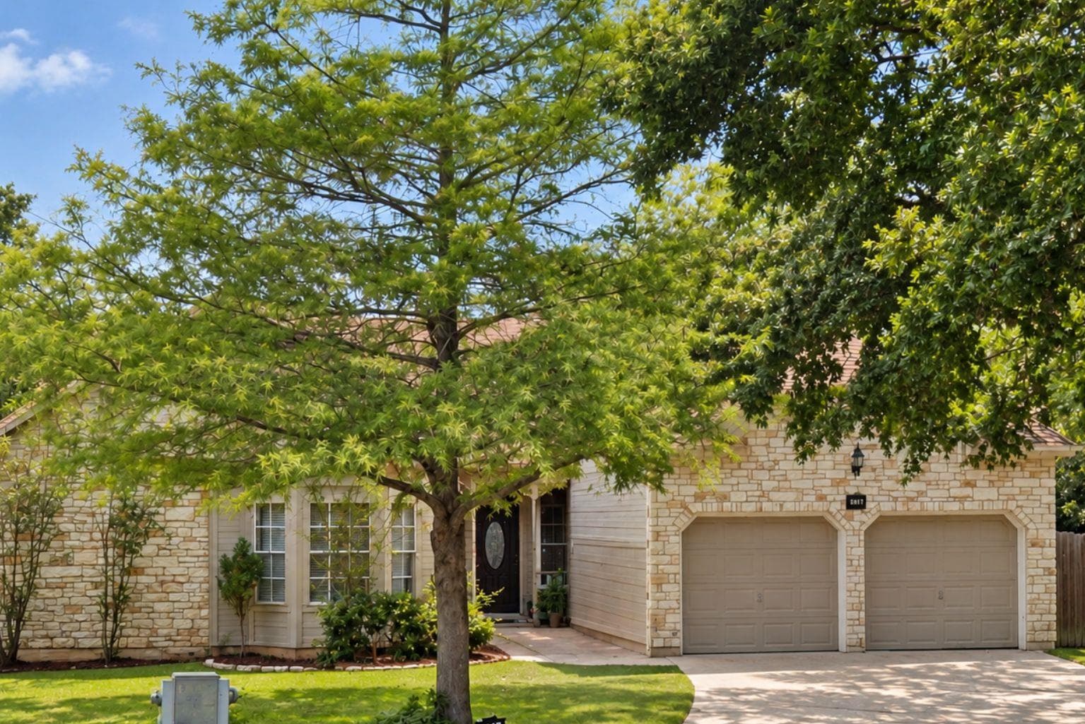 705 Sapling Cv