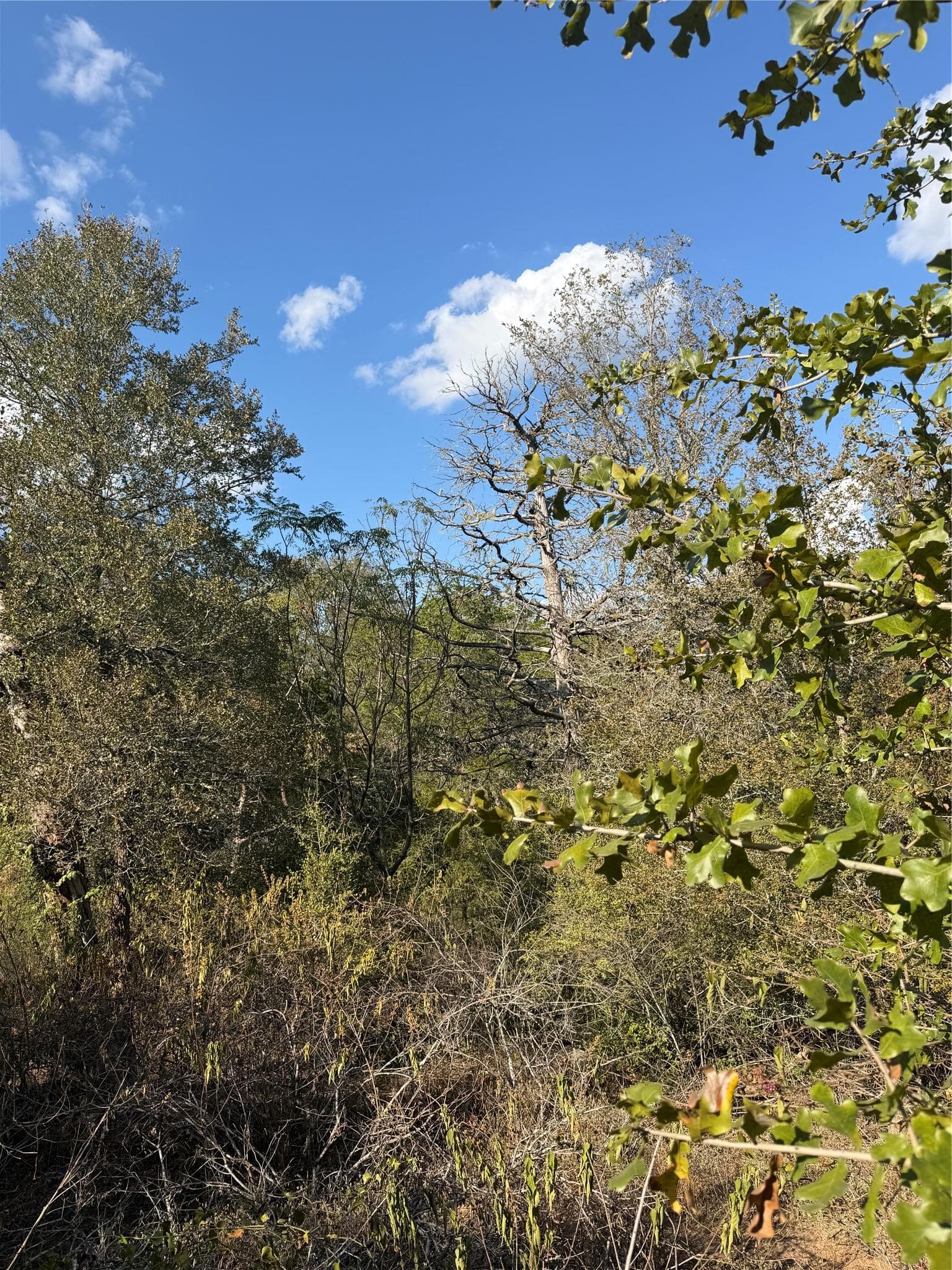 Lot 539 Palikea Cir