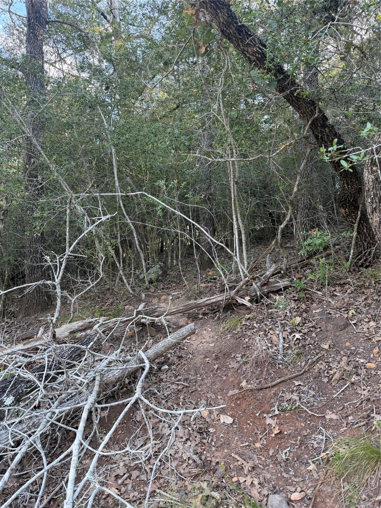 Lot 376 Palikea Cir