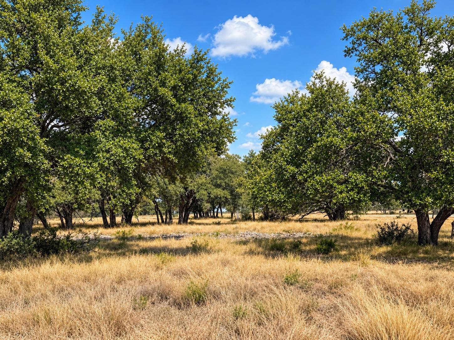 LOT 123 Fallow Drive Dr