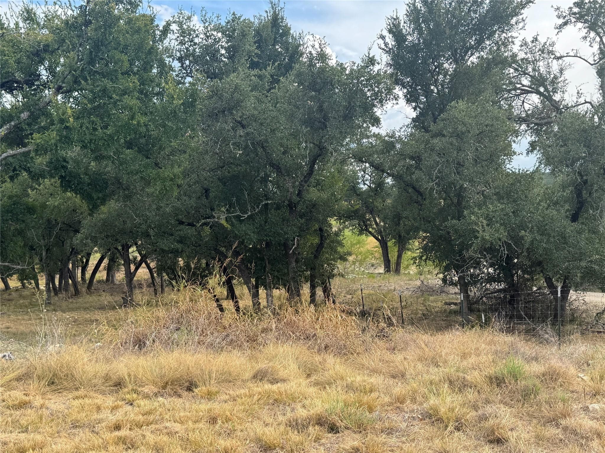 TBD Tract 5 County Road 1320 None