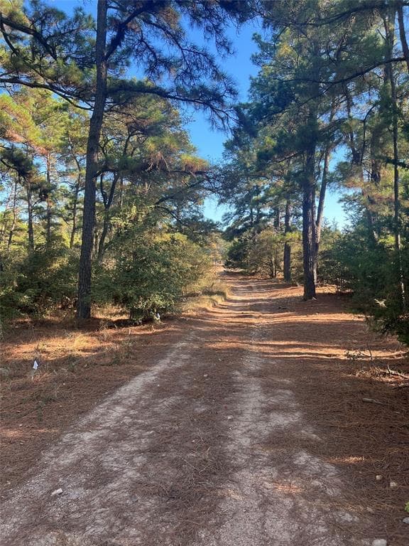 TBD Pine Lodge Dr