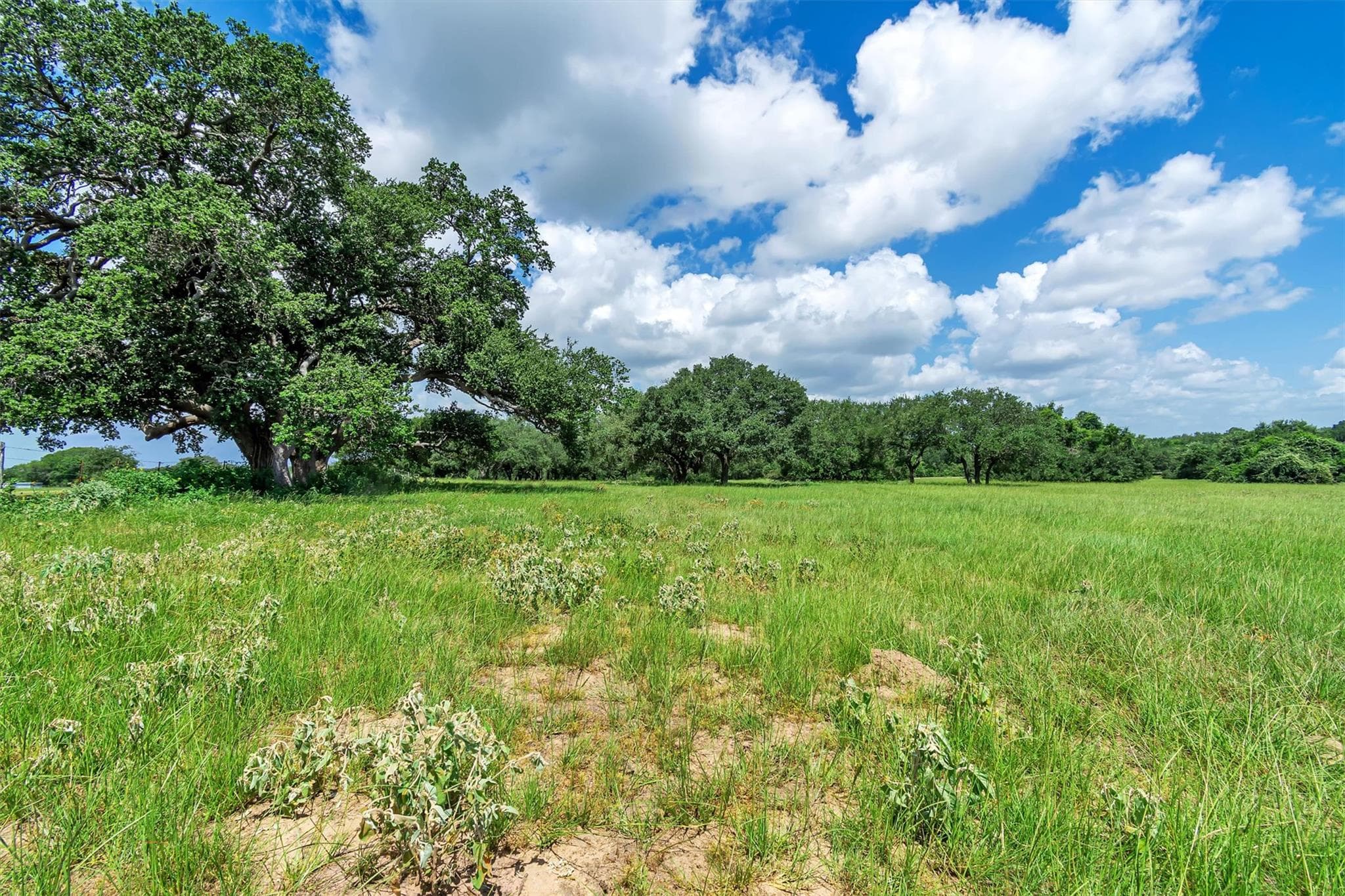 000 Old Cuero Rd