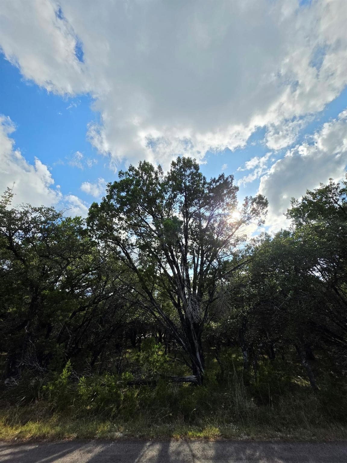 7623 Sagebrush Trl