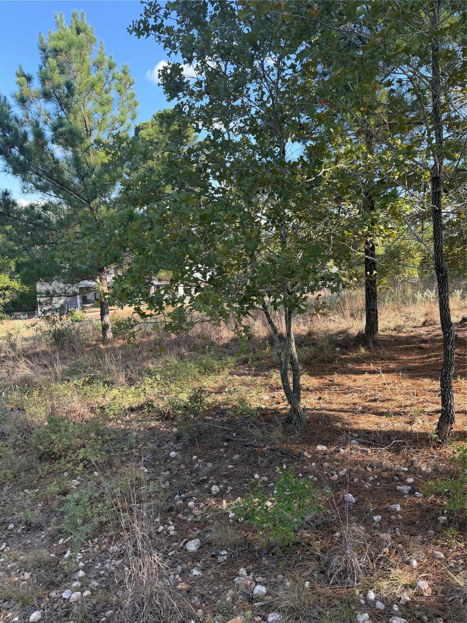 Lot 702 Oahu Ct