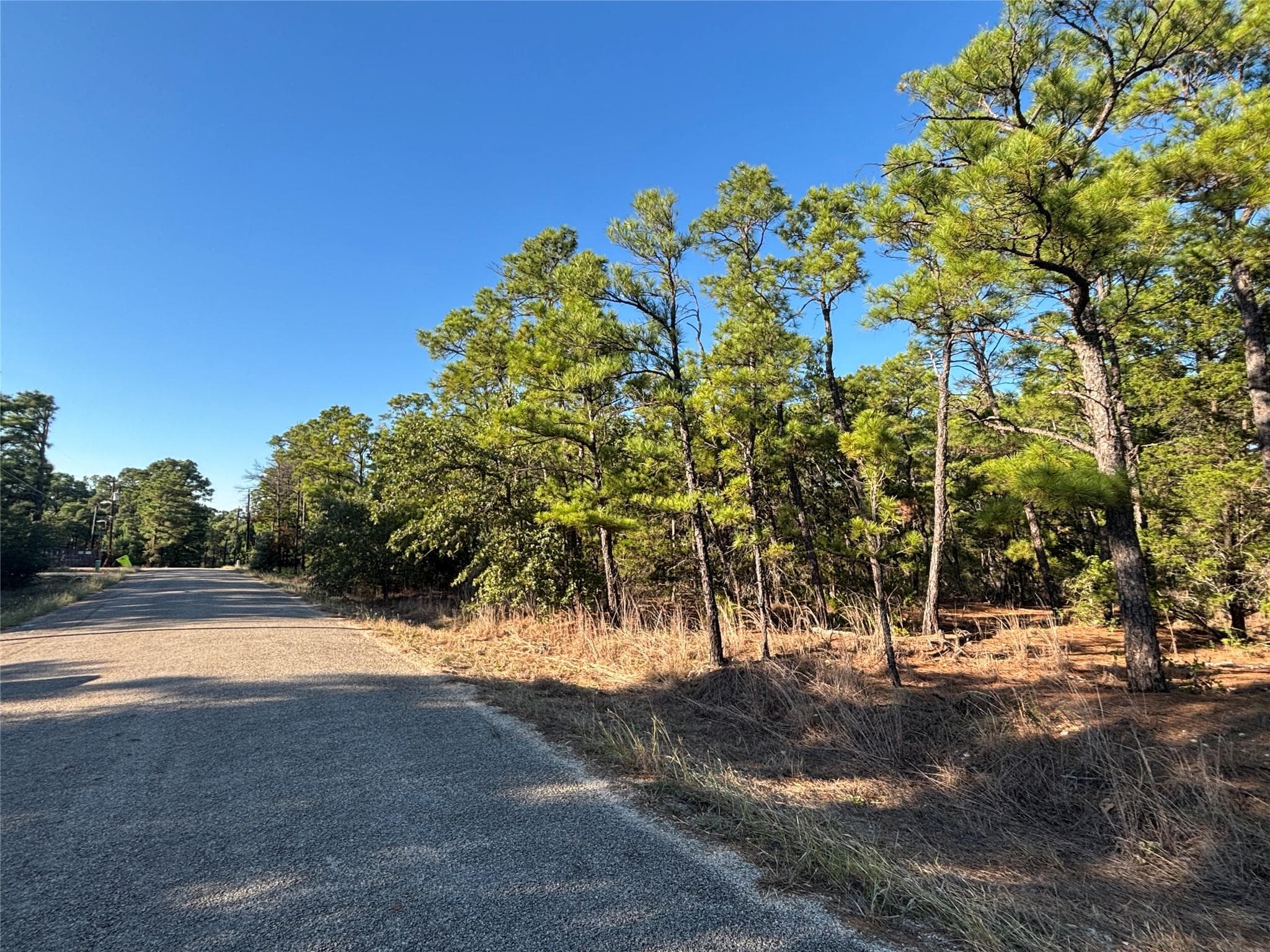 TBD Pine Cone Dr