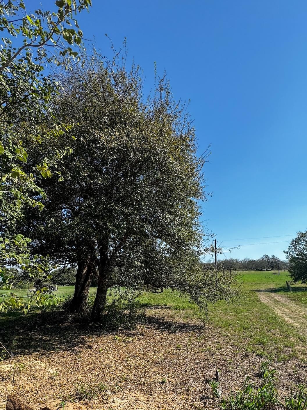 127 Hall Rd